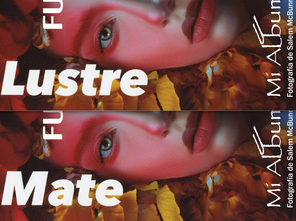 Superficies de papel fotográfico lustre y mate para proyectos escolares