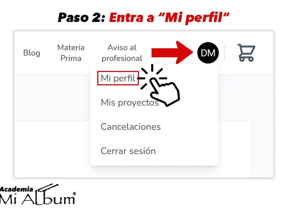 Menú desplegable desde el perfil de usuario en Mi Album con opciones como Mi perfil, Mis proyectos y Cerrar sesión.