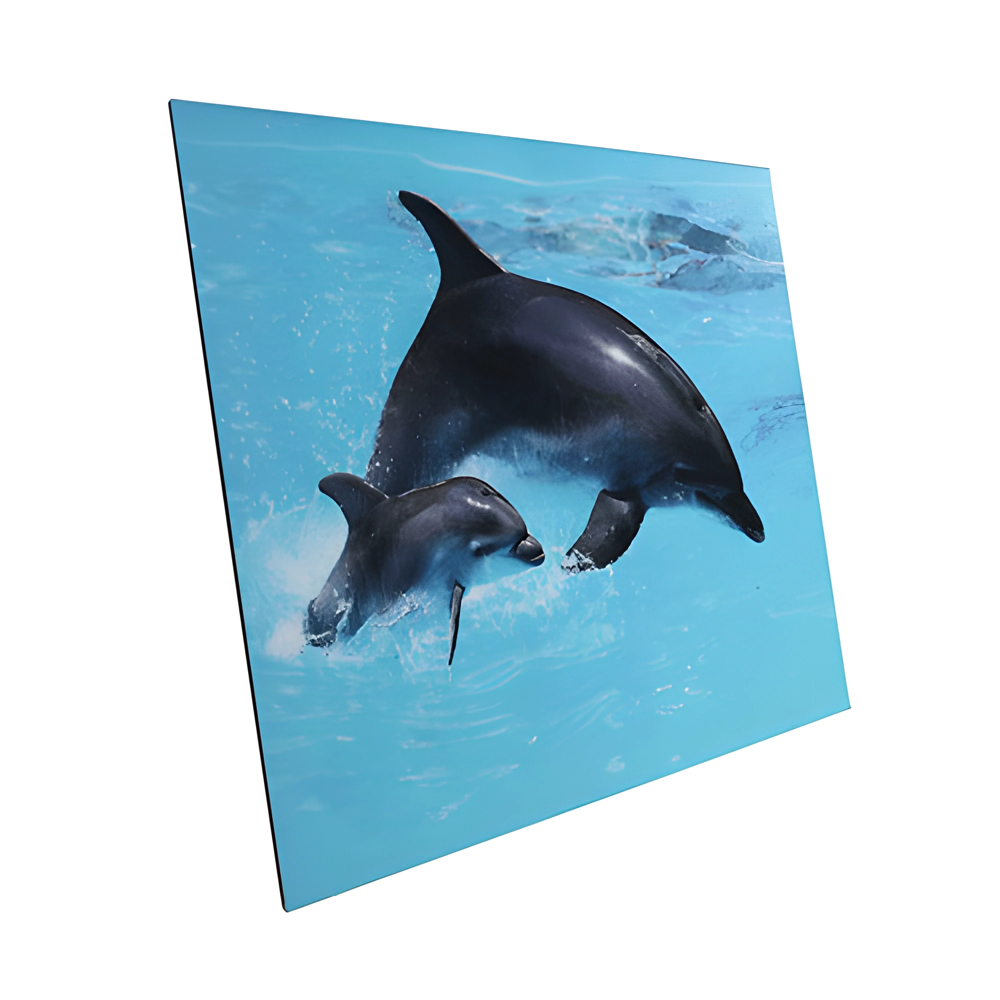 foam-board-negro-cuadros-decorativos-exposiciones-galeria-fotografica-mi-album-home.webp
