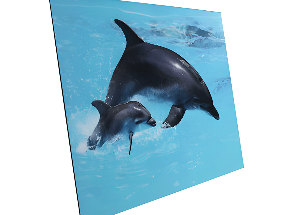 carton pluma negro para exposiciones y proyectos creativos mi album mexico